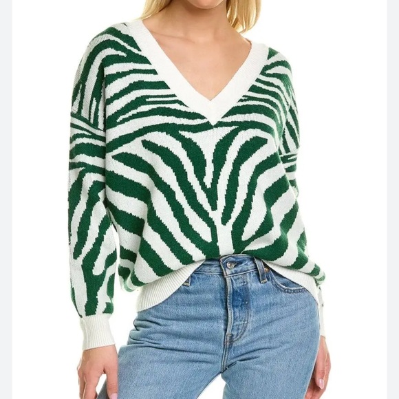 Beach Riot Green White Joey Zebra Print Sweater Size Small Colorful Preppy Knit - Picture 1 of 7